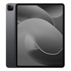 iPad Pro 12.9 (2021) Wi-Fi 512GB Spacegrau refurbished